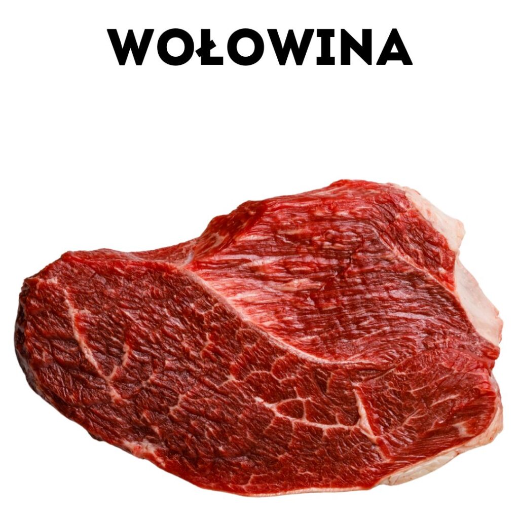 wolowina